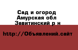  Сад и огород. Амурская обл.,Завитинский р-н